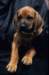img020069_small.jpg