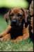 img020073_small.jpg
