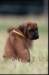 img020075_small.jpg