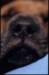img020100_small.jpg