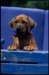 img020101_small.jpg