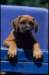 img020104_small.jpg