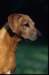img020106_small.jpg