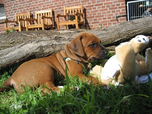img_0317.jpg
