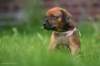 img_3539_fc_small.jpg