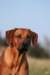 img_7674s_small.jpg