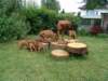 kopievonbwurf4012_small.jpg
