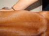 mixedup104_small.jpg