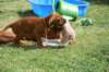 ndoki_20070708024_small.jpg