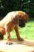 ndoki_20070708042_small.jpg