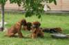 ndoki_20070708097_small.jpg