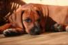 picture0002_small.jpg