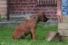 picture0004_small.jpg