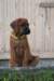 picture0007_small.jpg