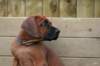 picture0008_small.jpg