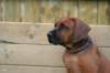 picture0009_small.jpg