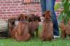 picture0010_small.jpg