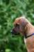 picture0011_small.jpg