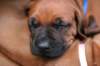 picture0013_small.jpg