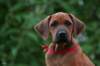 picture0014_small.jpg