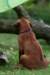 picture0015_small.jpg