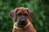 picture0016_small.jpg