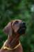 picture0017_small.jpg