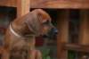 picture0019_small.jpg