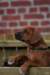picture0021_small.jpg