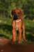 picture0022_small.jpg