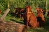 picture0024_small.jpg