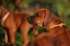 picture0025_small.jpg