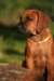 picture0026_small.jpg