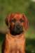 picture0027_small.jpg