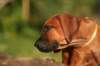 picture0028_small.jpg
