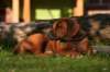 picture0029_small.jpg