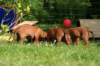 picture0033_small.jpg