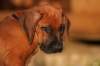 picture0034_small.jpg