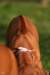 picture0036_small.jpg