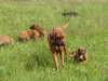 portrts8wochen003_small.jpg