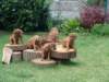 portrts8wochen004_small.jpg