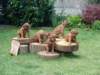 portrts8wochen005_small.jpg