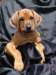 portrts8wochen007_small.jpg