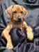 portrts8wochen008_small.jpg