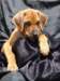 portrts8wochen010_small.jpg