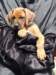 portrts8wochen012_small.jpg
