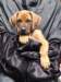 portrts8wochen013_small.jpg