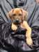 portrts8wochen014_small.jpg