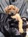 portrts8wochen015_small.jpg