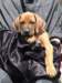 portrts8wochen016_small.jpg